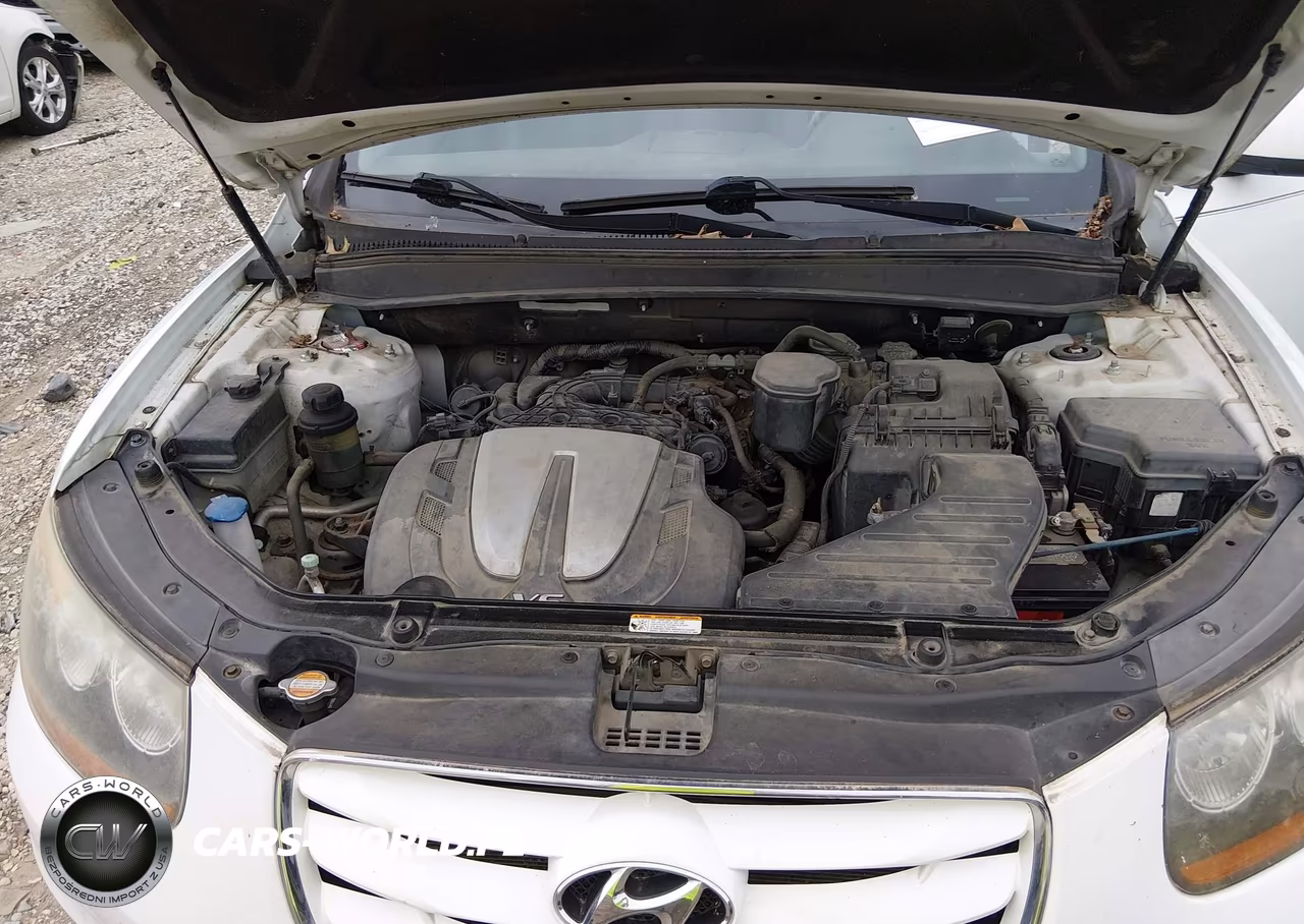 2010 Hyundai Santa Fe Se VIN:5NMSH4AG7AH353891 - 10