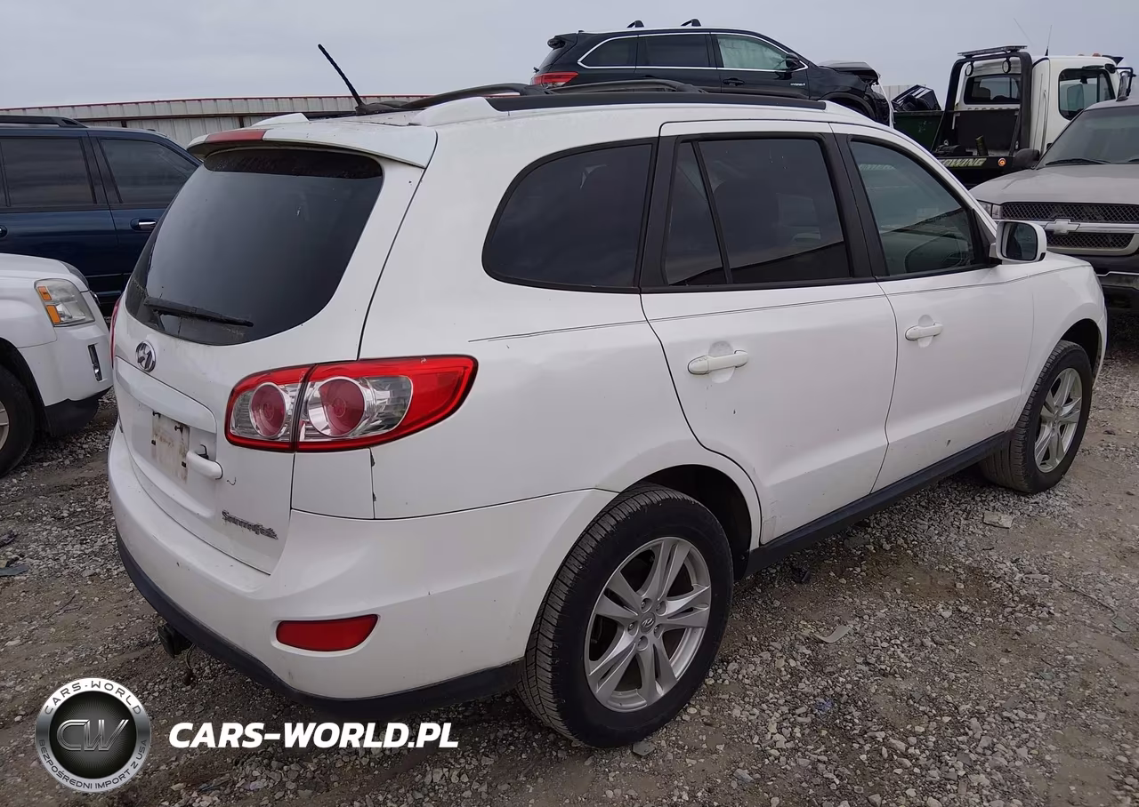 2010 Hyundai Santa Fe Se VIN:5NMSH4AG7AH353891 - 4