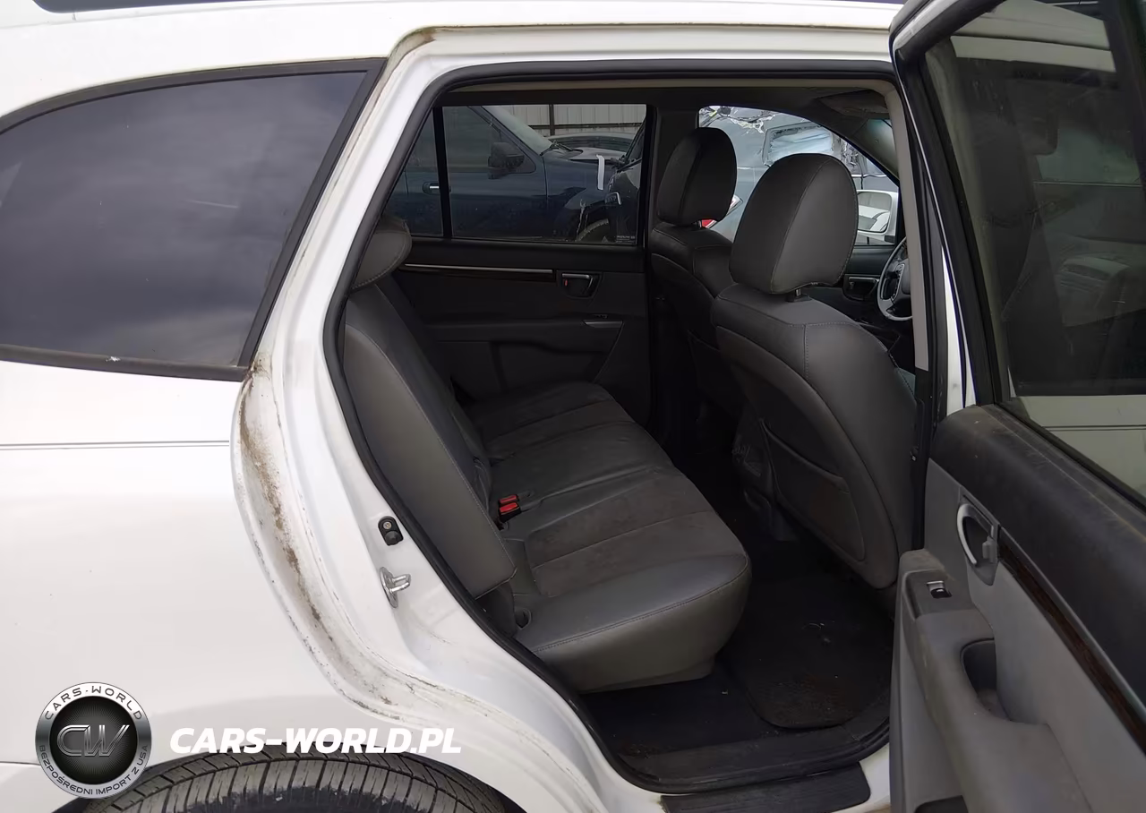 2010 Hyundai Santa Fe Se VIN:5NMSH4AG7AH353891 - 8