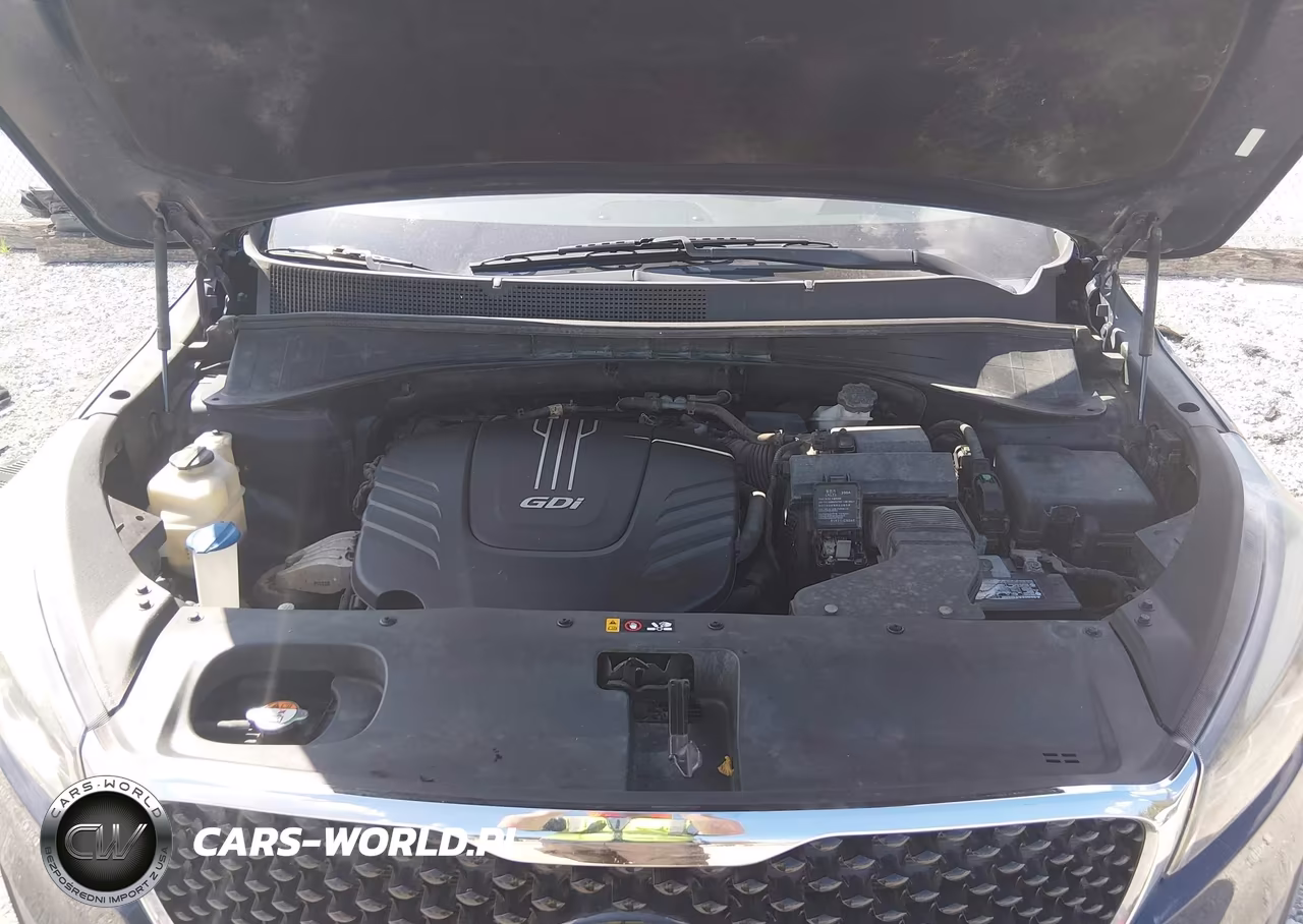 2016 Kia Sorento 3.3L Ex VIN:5XYPH4A57GG071905 - 10