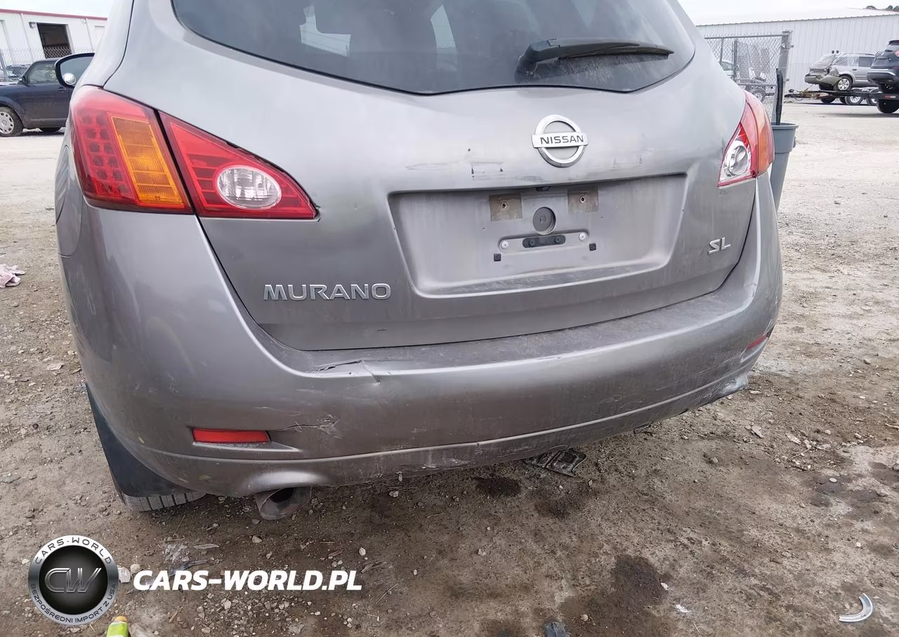 2010 Nissan Murano Sl VIN:JN8AZ1MU4AW003399 - 6