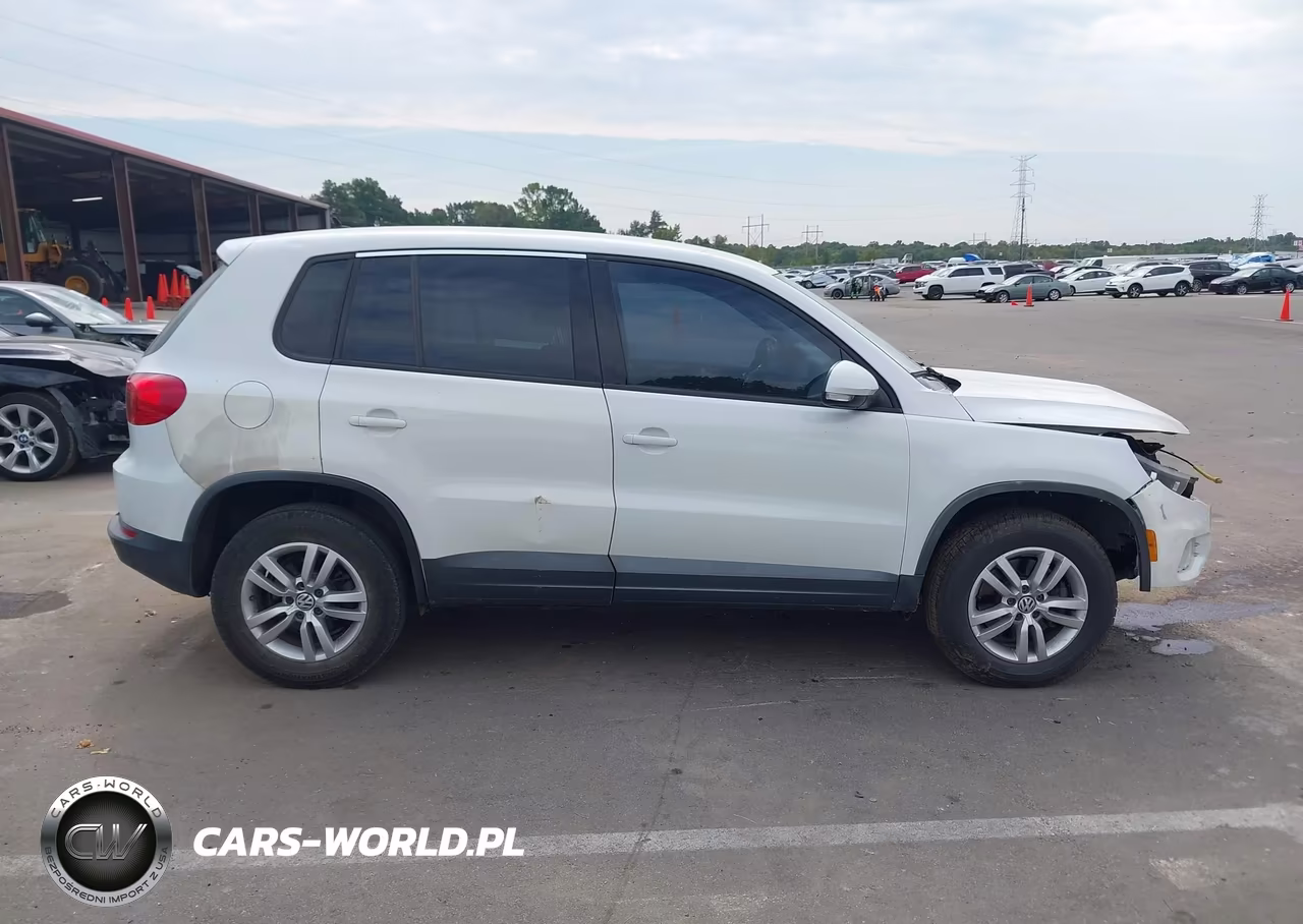 2014 Volkswagen Tiguan S VIN:WVGAV3AX7EW555465 - 13