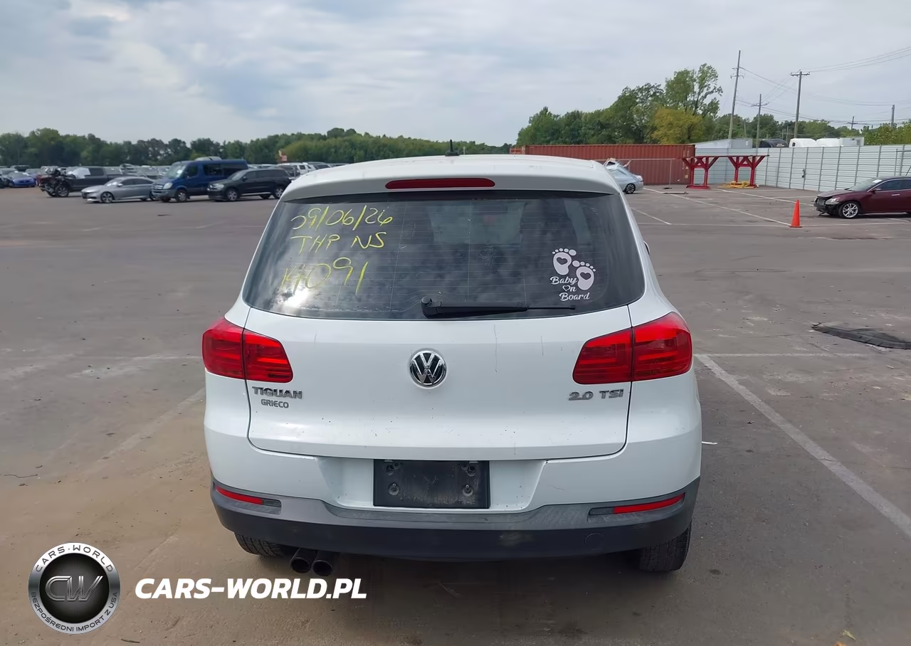 2014 Volkswagen Tiguan S VIN:WVGAV3AX7EW555465 - 16