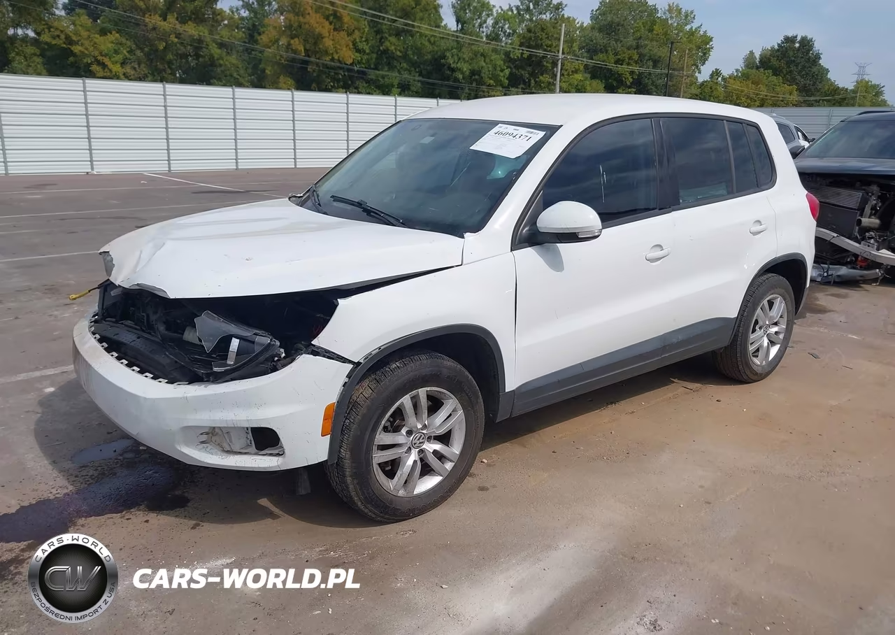 2014 Volkswagen Tiguan S VIN:WVGAV3AX7EW555465 - 2