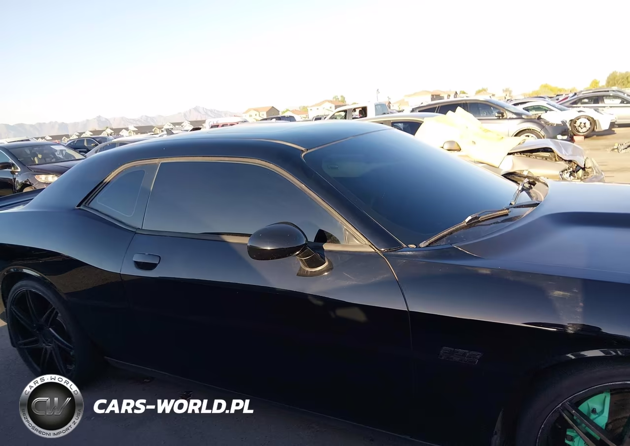 2016 Dodge Challenger Srt 392 VIN:2C3CDZDJ0GH315173 - 14