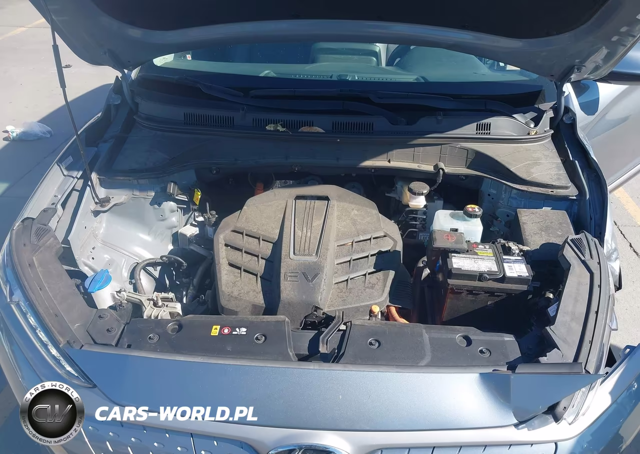 2020 Hyundai Kona Electric Limited VIN:KM8K33AG4LU059994 - 10