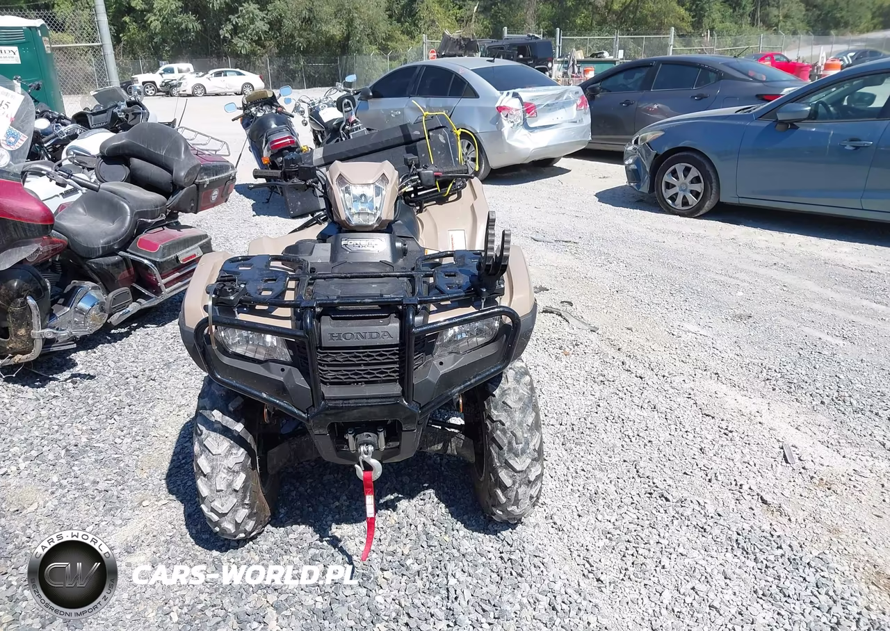 2024 Honda Trx520 Fm VIN:1HFTE4415R4002590 - 5