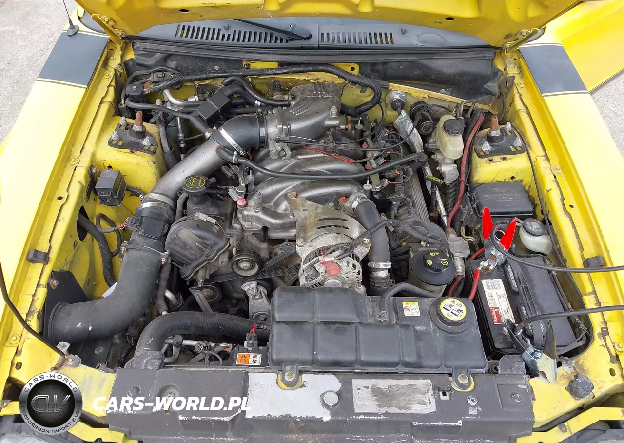 2004 Ford Mustang Gt VIN:1FAFP42X64F110180 - 10