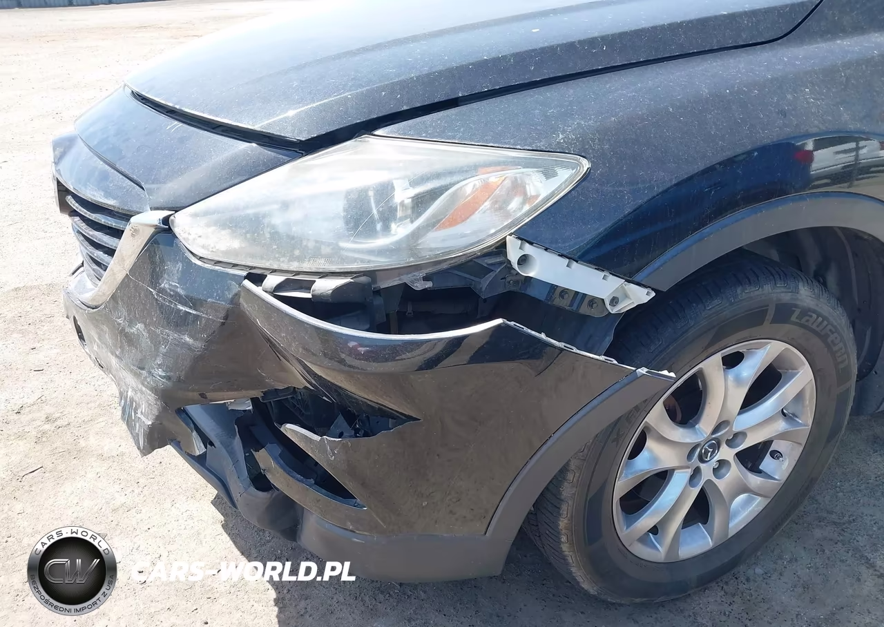 2014 Mazda Cx-9 Touring VIN:JM3TB2CV1E0437949 - 12