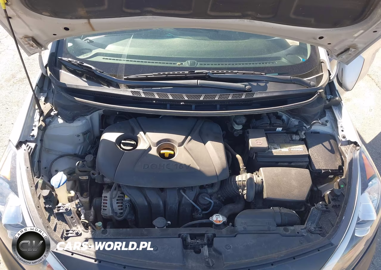 2015 Kia Forte Lx VIN:KNAFX4A69F5414547 - 10