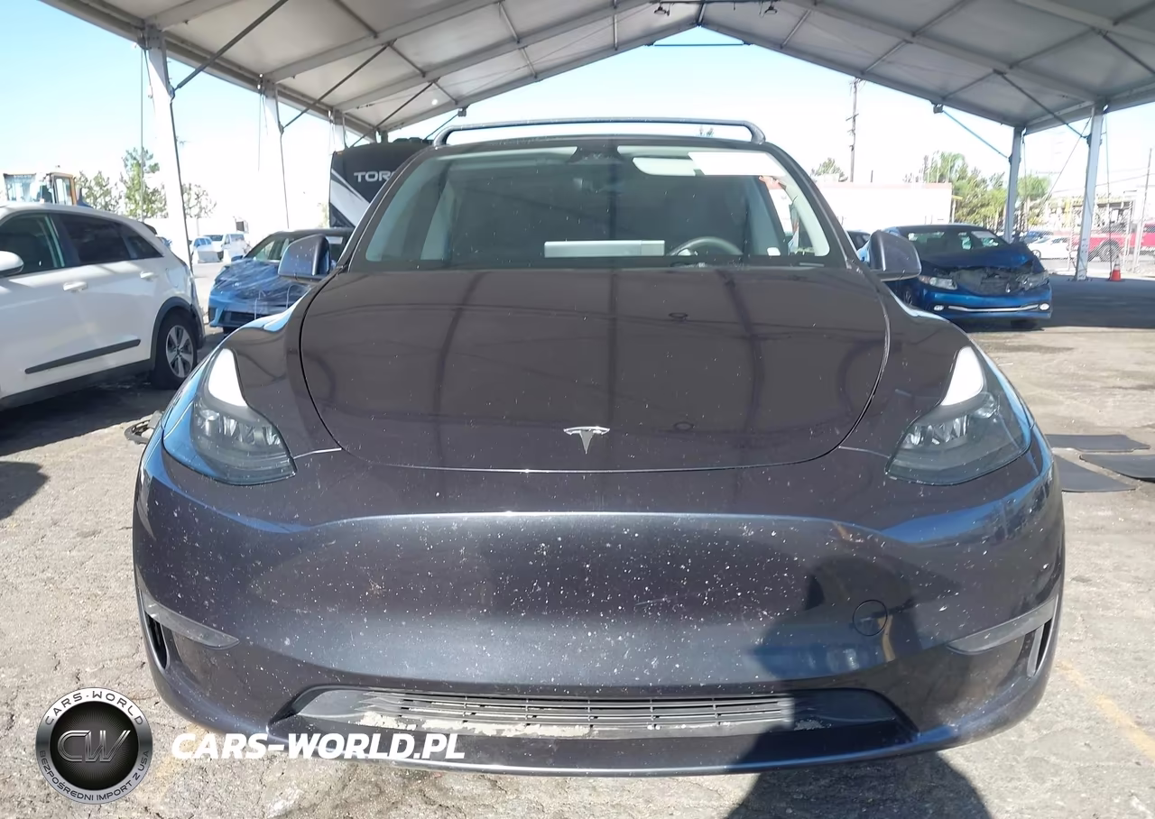 2024 Tesla Model Y VIN:7SAYGDED8RF083339 - 11