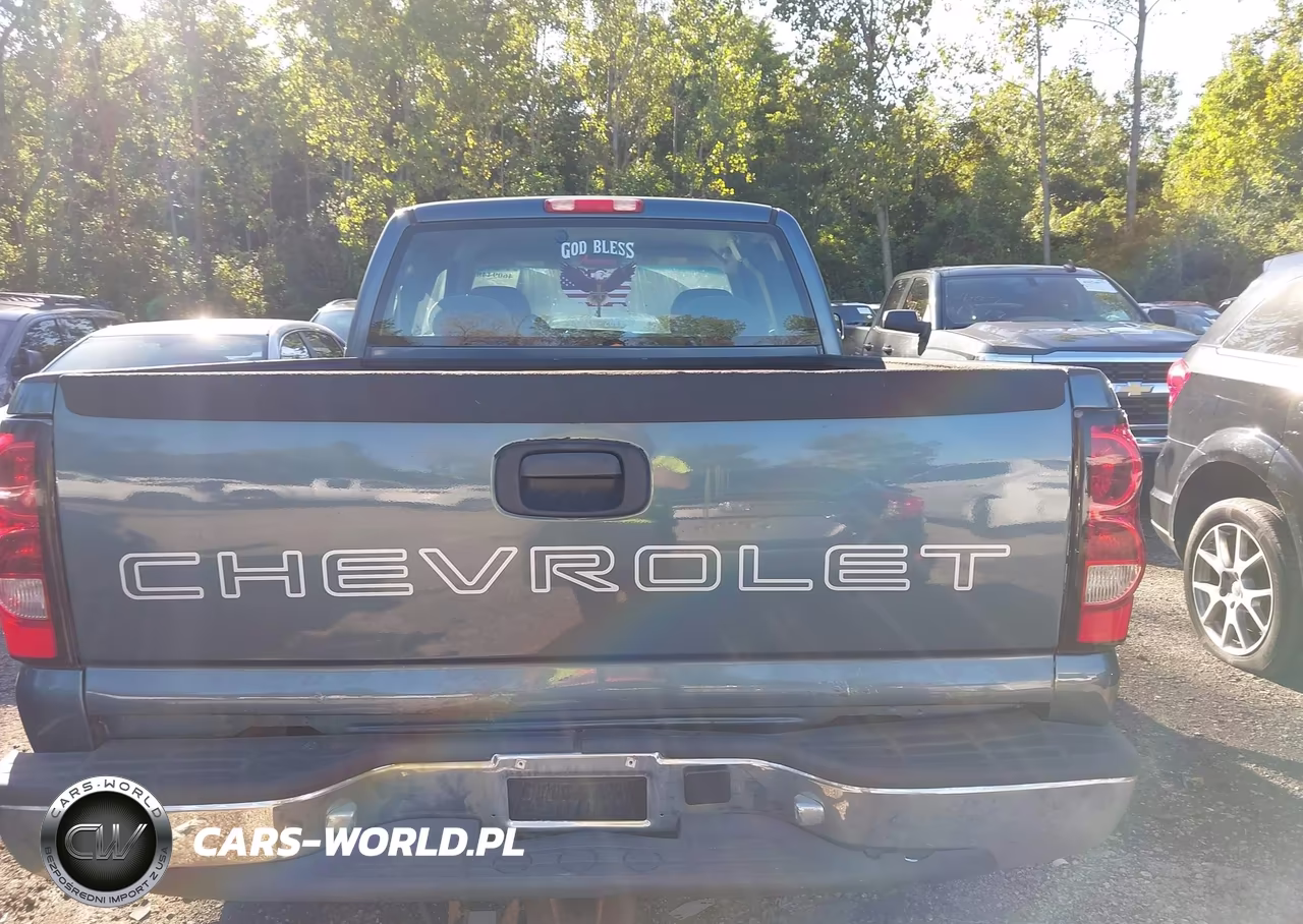 2006 Chevrolet Silverado 1500 Work Truck VIN:1GCEK19Z46Z207731 - 16