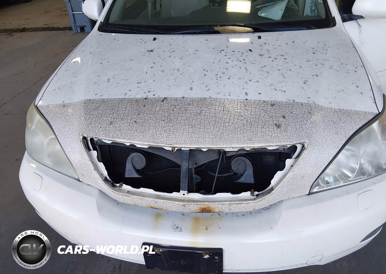 2004 Lexus Rx 330 VIN:JTJHA31U640010666 - 6
