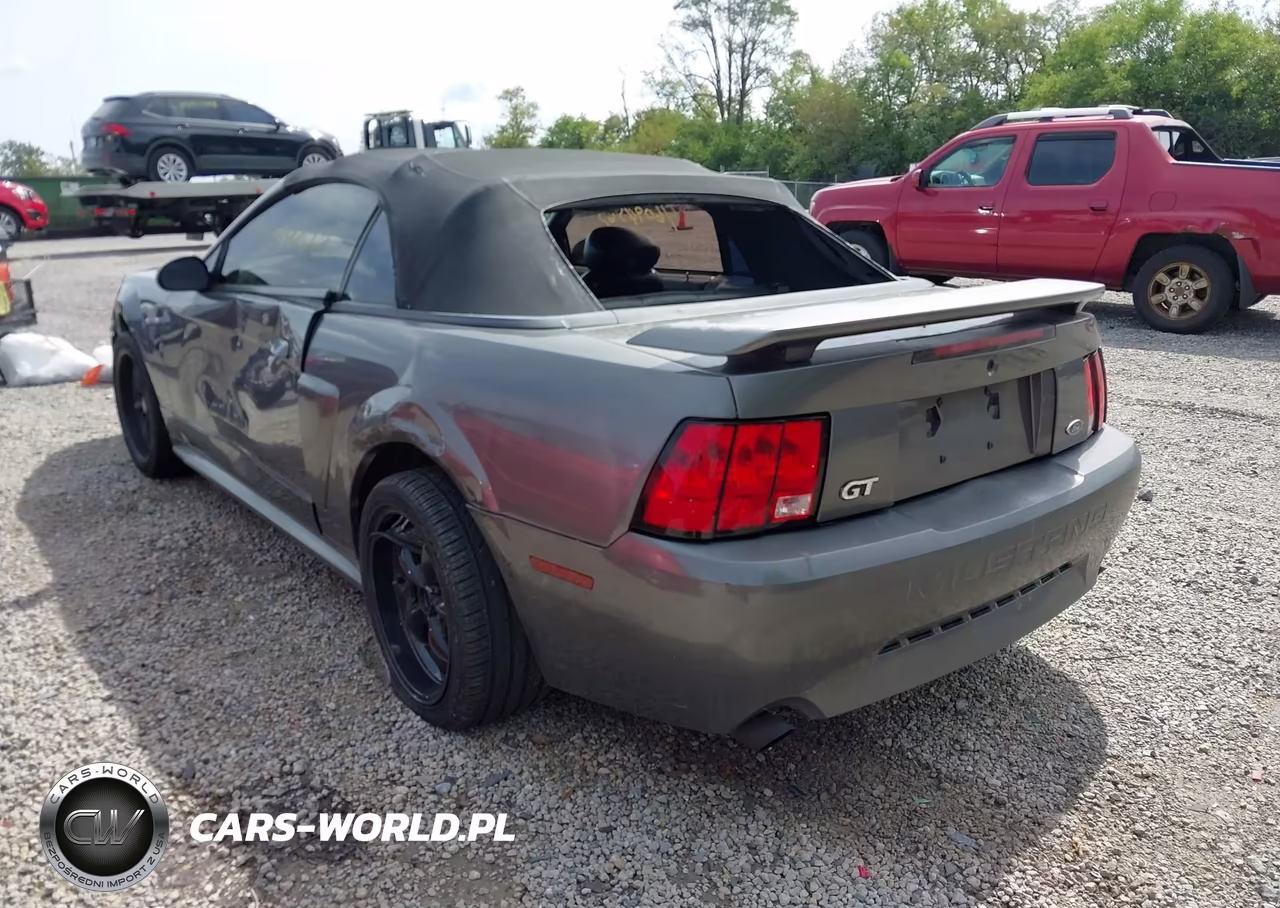 2003 Ford Mustang Gt VIN:1FAFP45X73F348582 - 3