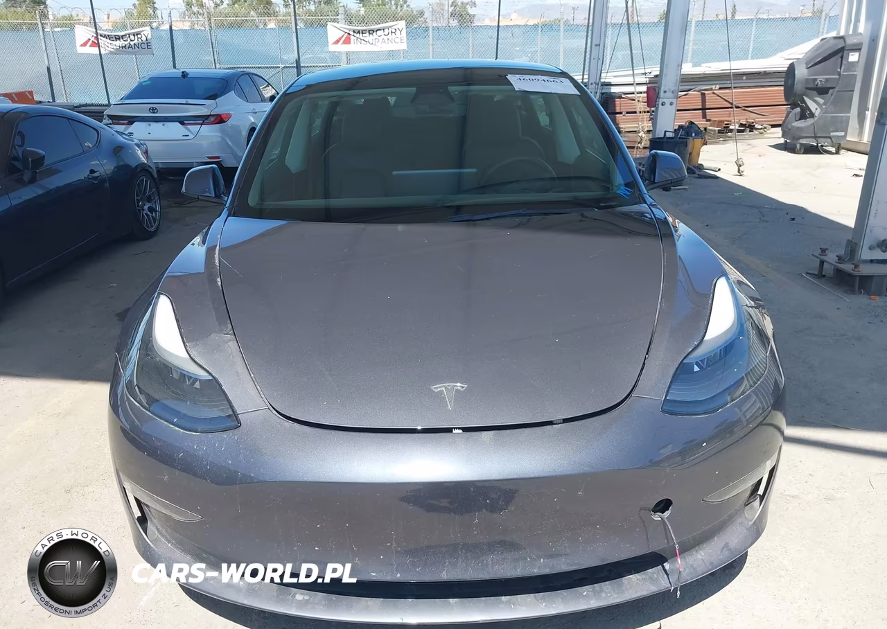 2023 Tesla Model 3 Rear-Wheel Drive VIN:5YJ3E1EA1PF498310 - 13