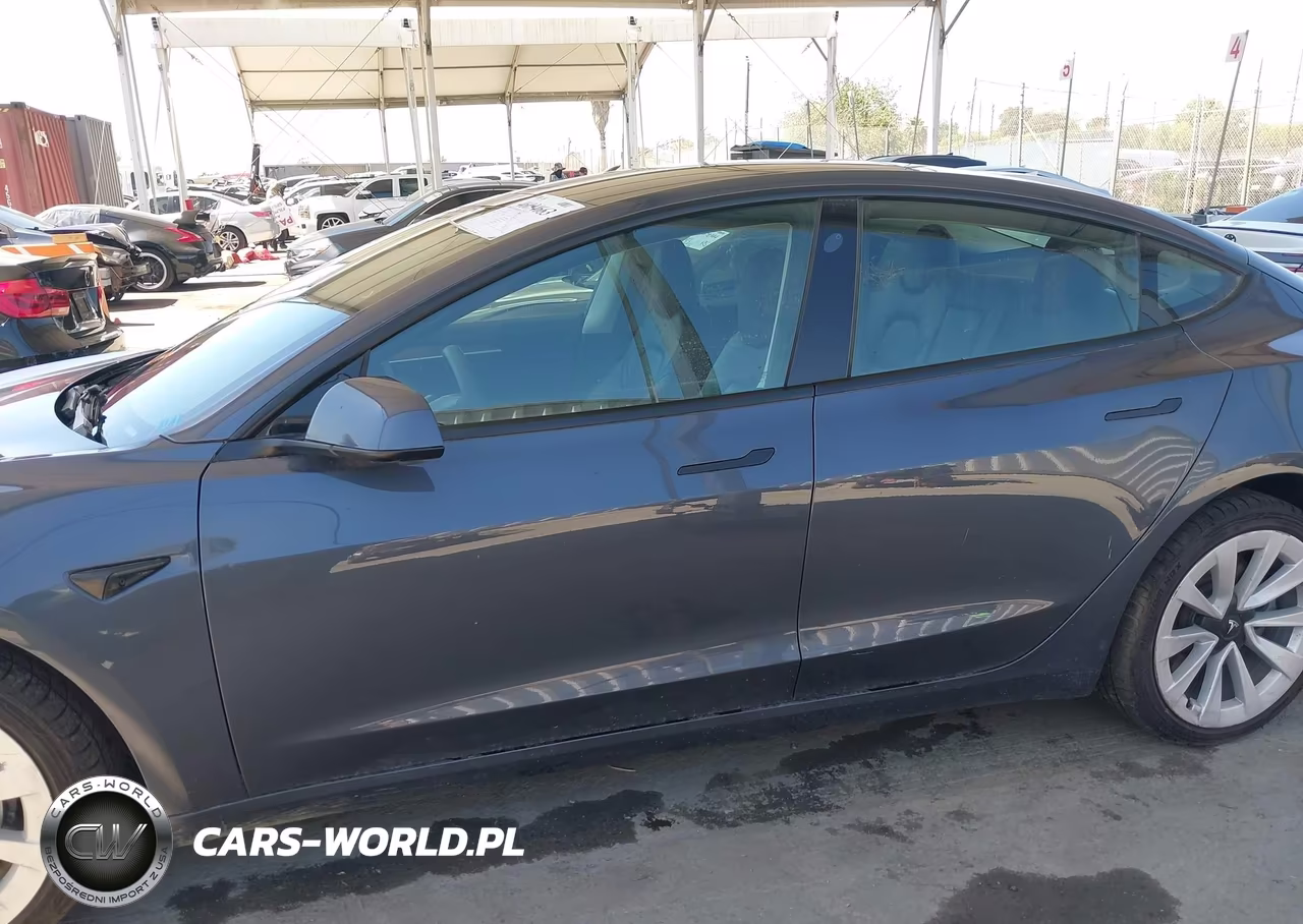 2023 Tesla Model 3 Rear-Wheel Drive VIN:5YJ3E1EA1PF498310 - 15