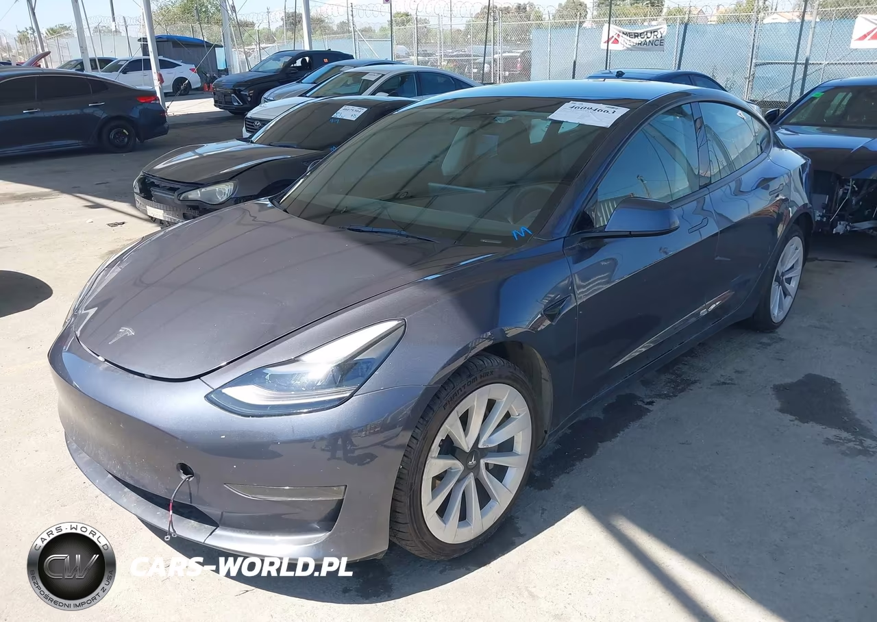 2023 Tesla Model 3 Rear-Wheel Drive VIN:5YJ3E1EA1PF498310 - 2