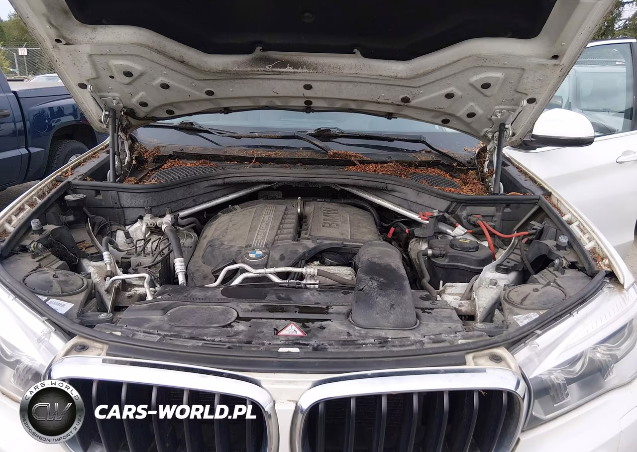 2015 BMW X5 xDrive35I VIN:5UXKR0C59F0P08485 - 10