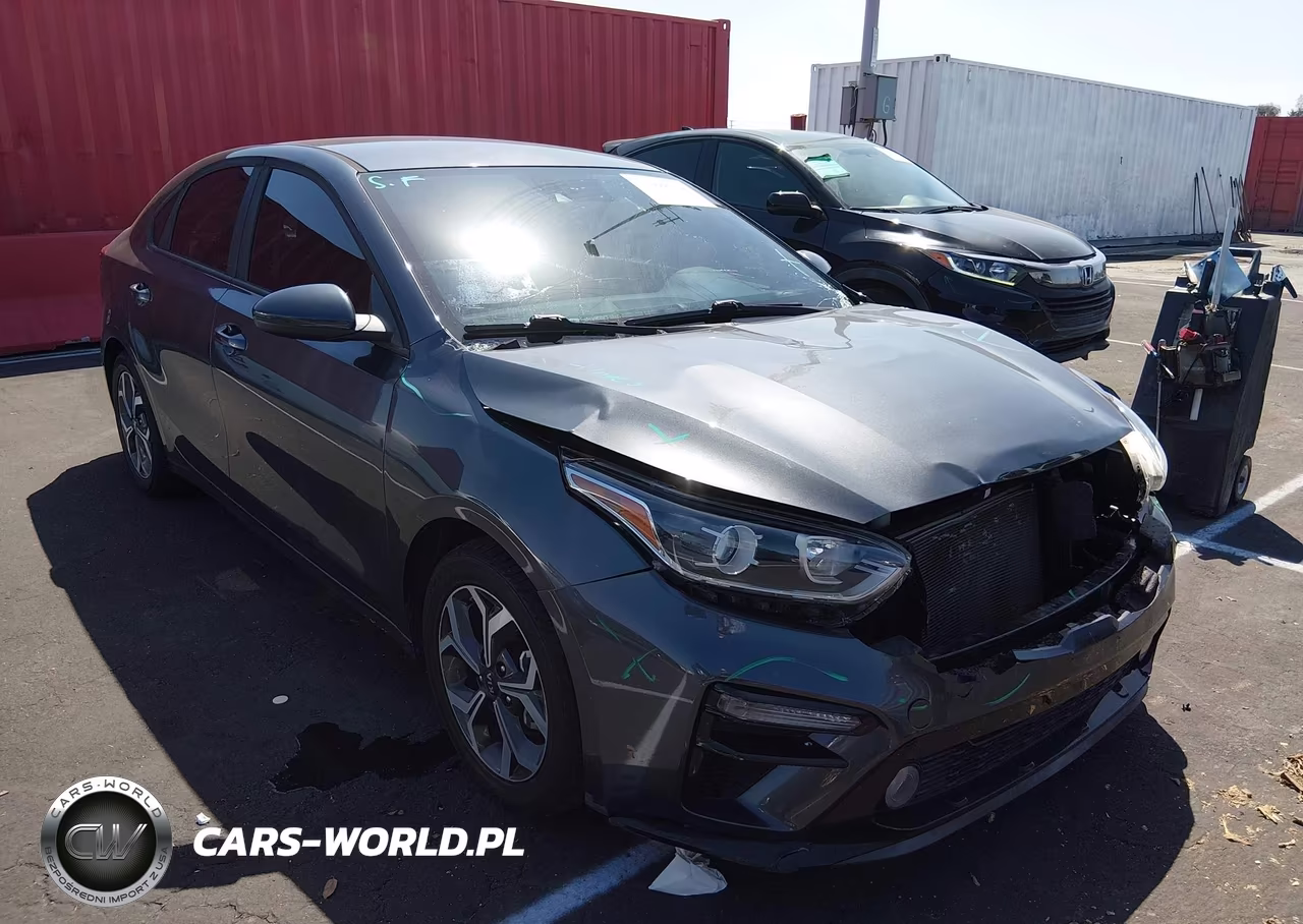 2019 Kia Forte Lxs VIN:3KPF24AD8KE116019 - 1