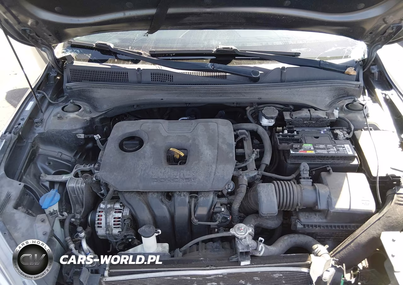 2019 Kia Forte Lxs VIN:3KPF24AD8KE116019 - 10