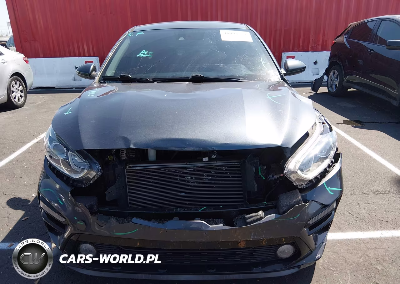 2019 Kia Forte Lxs VIN:3KPF24AD8KE116019 - 6