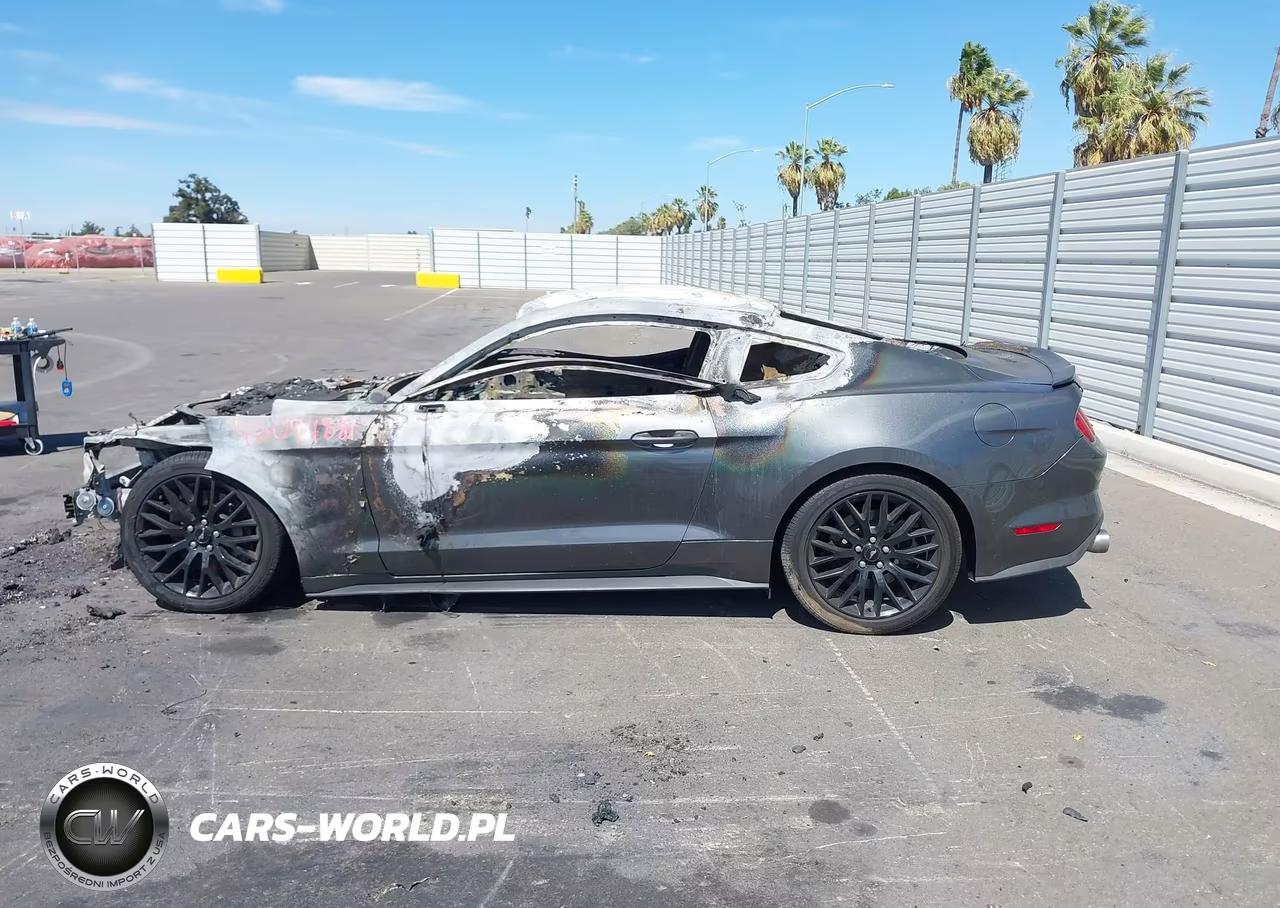 2016 Ford Mustang Gt Premium VIN:1FA6P8CF4G5261297 - 13