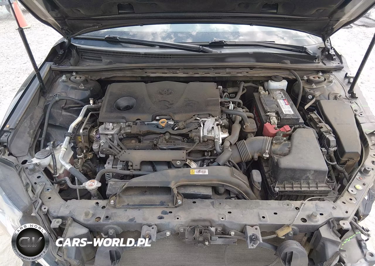 2019 Toyota Camry Se VIN:4T1B11HK3KU793786 - 10