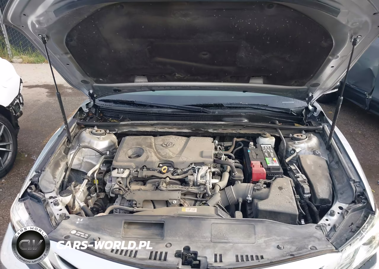 2019 Toyota Camry Xse VIN:4T1B61HK4KU163325 - 10