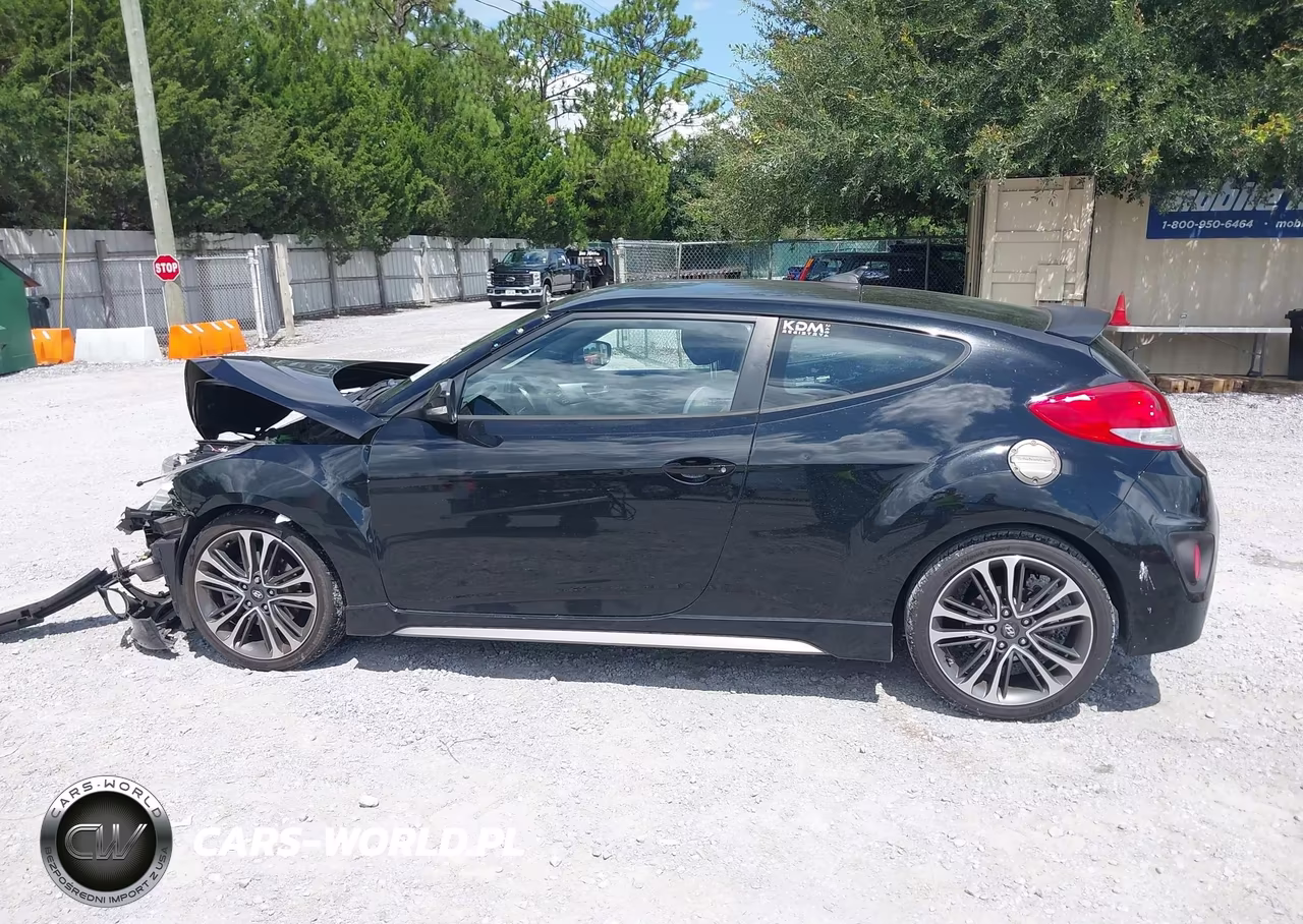 2016 Hyundai Veloster Turbo VIN:KMHTC6AE8GU276281 - 15