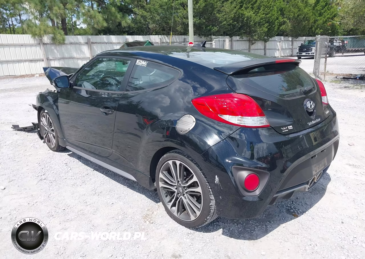 2016 Hyundai Veloster Turbo VIN:KMHTC6AE8GU276281 - 3