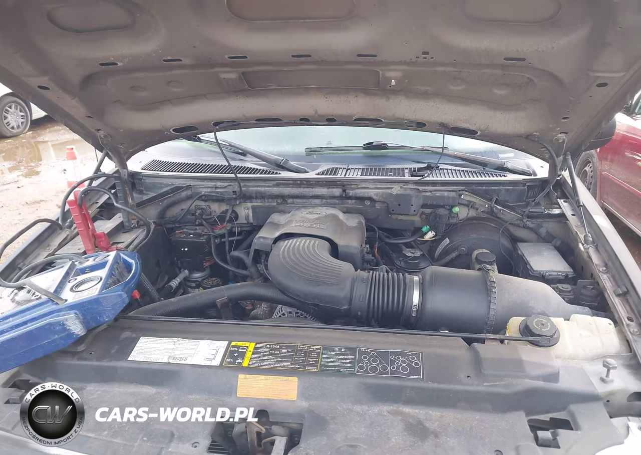 2003 Ford F-150 Lariat-Xlt VIN:1FTRW07673KD77854 - 10