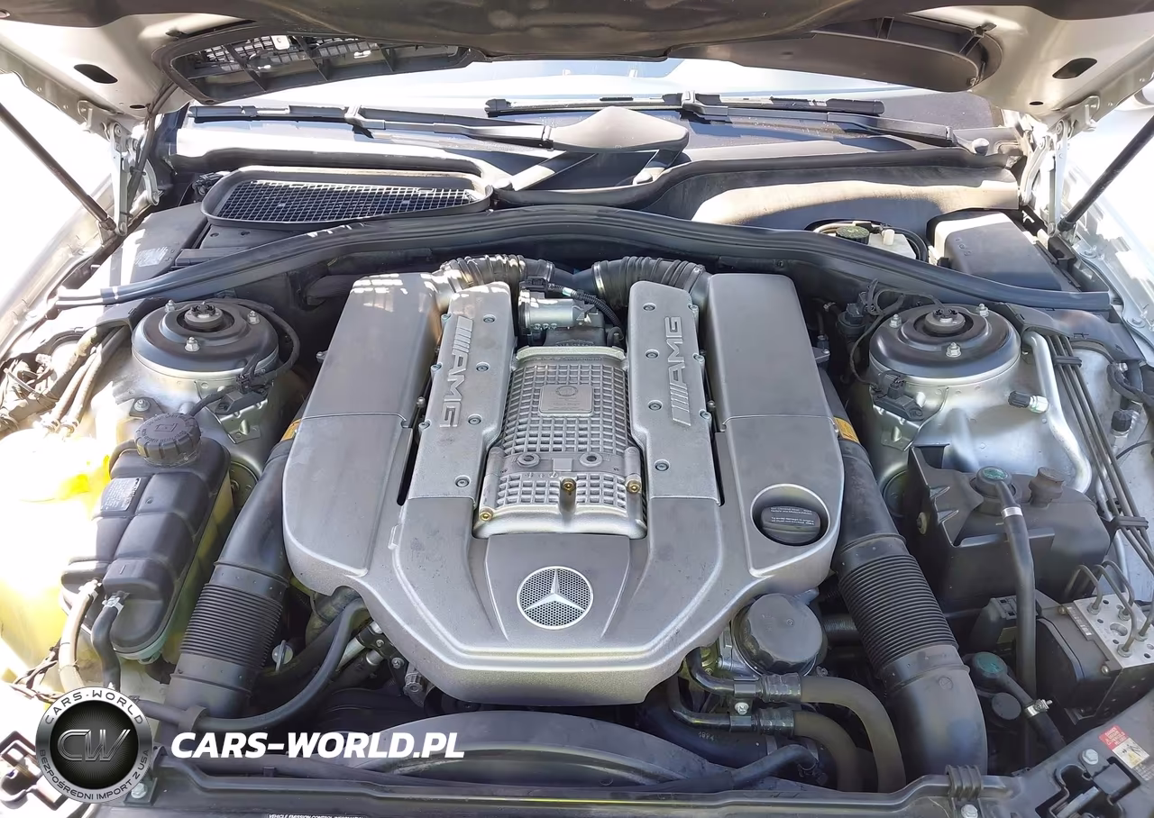 2003 Mercedes-Benz S 55 Amg VIN:WDBNG74J83A345447 - 10