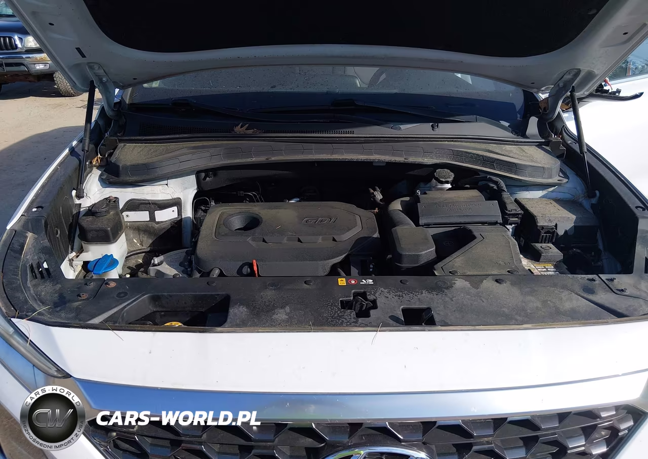2019 Hyundai Santa Fe Sel Plus VIN:5NMS3CAD5KH037454 - 10