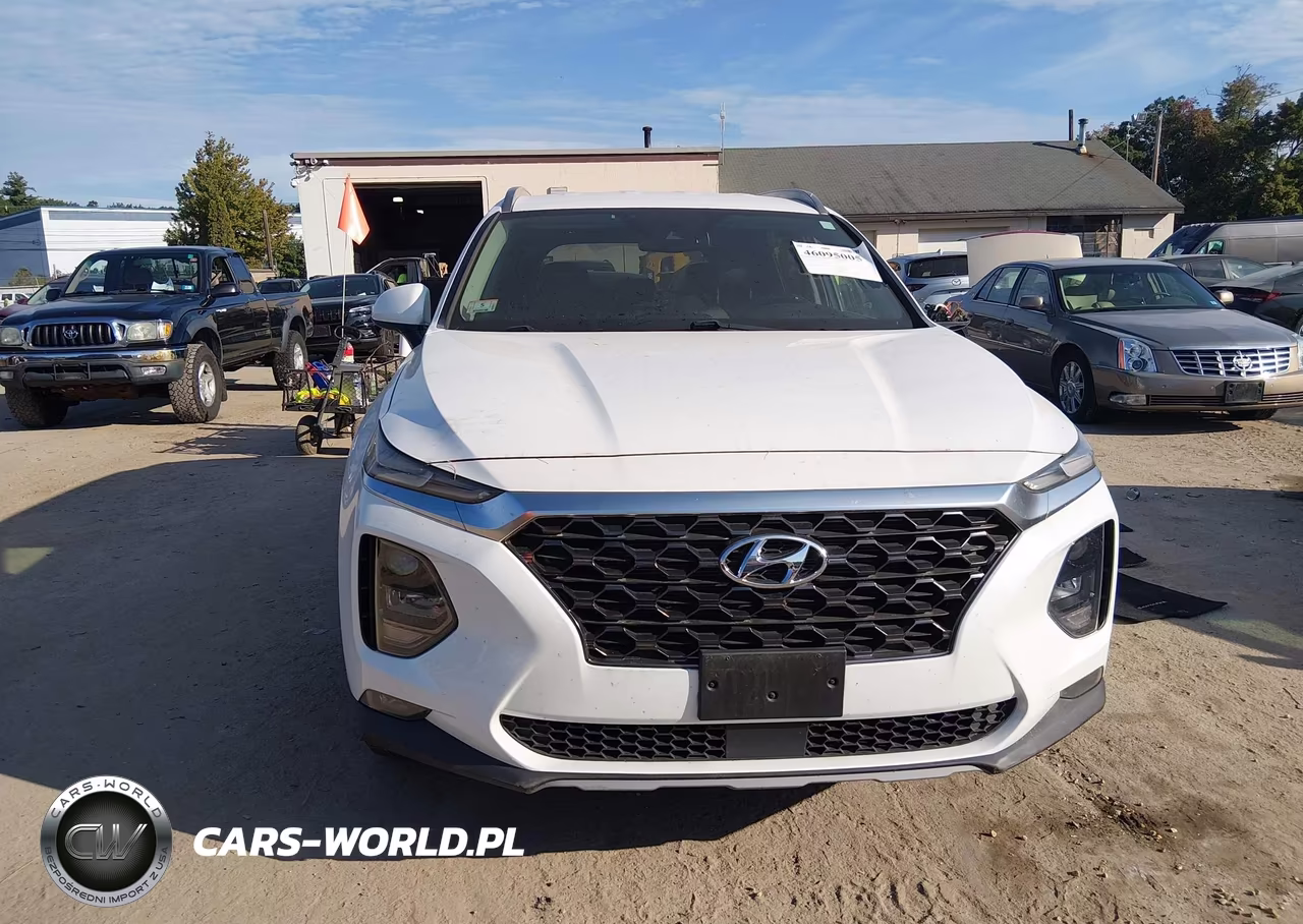 2019 Hyundai Santa Fe Sel Plus VIN:5NMS3CAD5KH037454 - 13