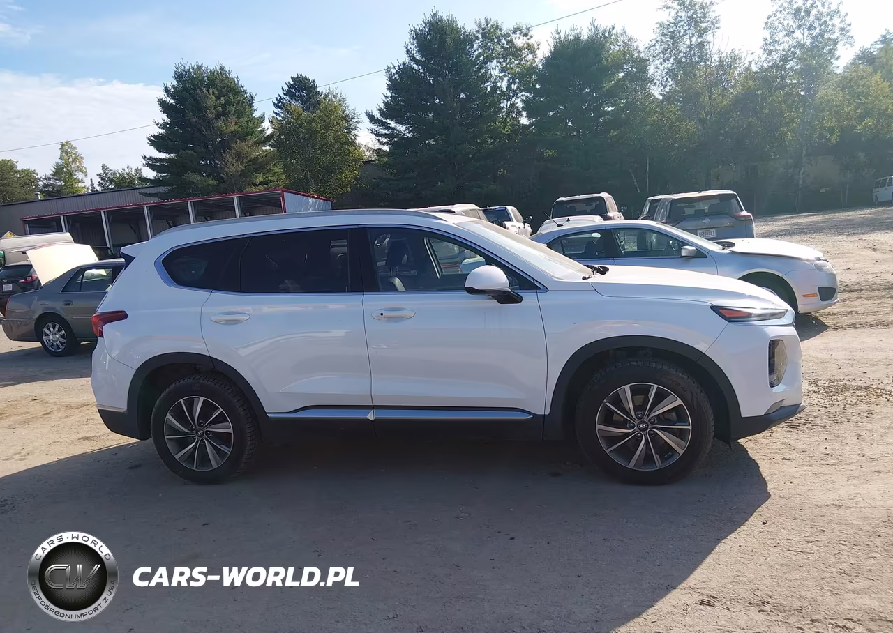 2019 Hyundai Santa Fe Sel Plus VIN:5NMS3CAD5KH037454 - 14