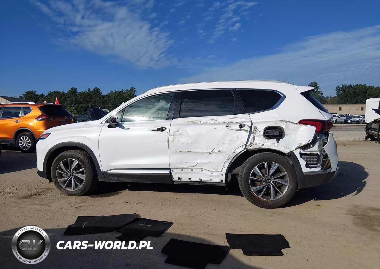 2019 Hyundai Santa Fe Sel Plus VIN:5NMS3CAD5KH037454 - 15