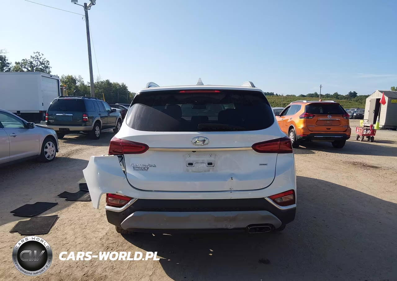 2019 Hyundai Santa Fe Sel Plus VIN:5NMS3CAD5KH037454 - 17