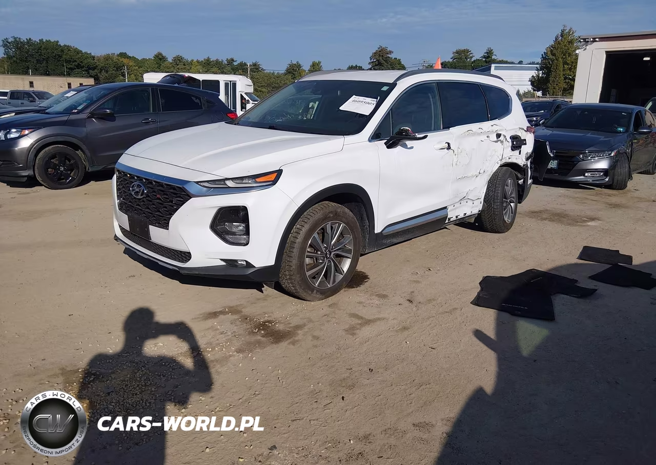 2019 Hyundai Santa Fe Sel Plus VIN:5NMS3CAD5KH037454 - 2