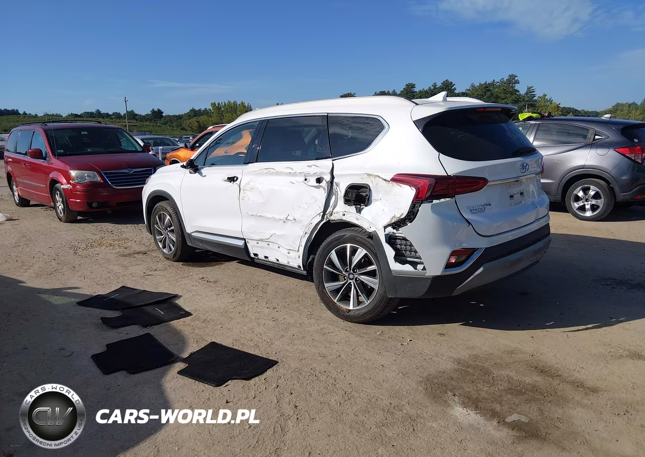 2019 Hyundai Santa Fe Sel Plus VIN:5NMS3CAD5KH037454 - 3