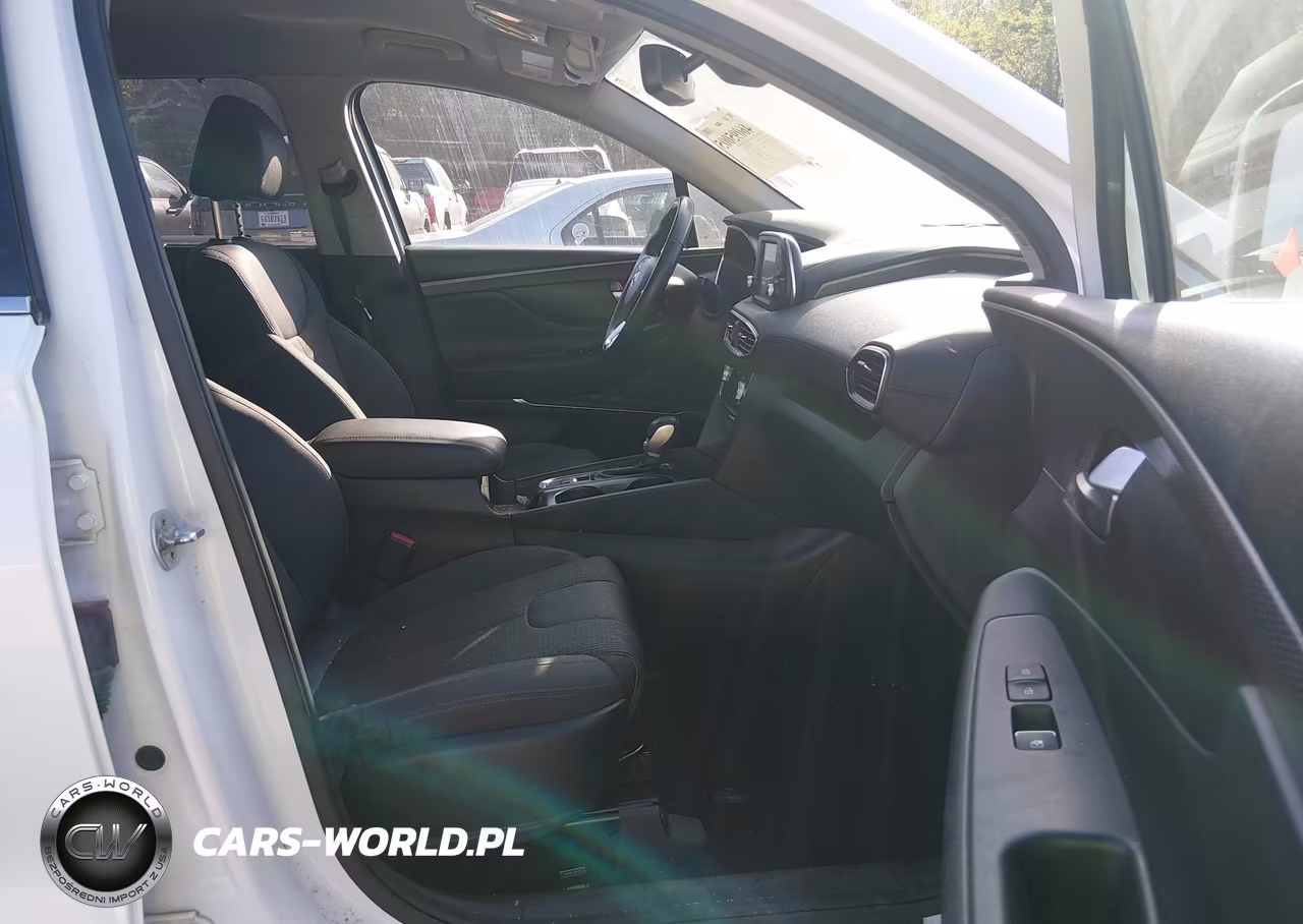 2019 Hyundai Santa Fe Sel Plus VIN:5NMS3CAD5KH037454 - 5