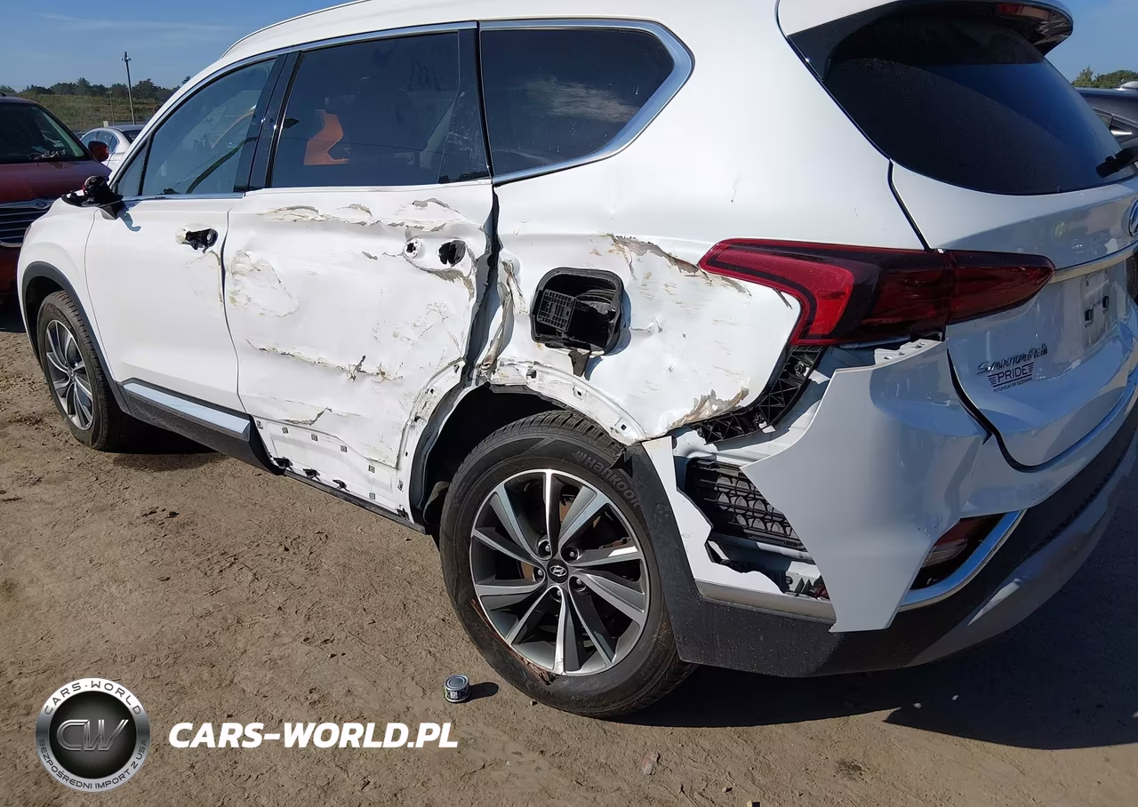 2019 Hyundai Santa Fe Sel Plus VIN:5NMS3CAD5KH037454 - 6