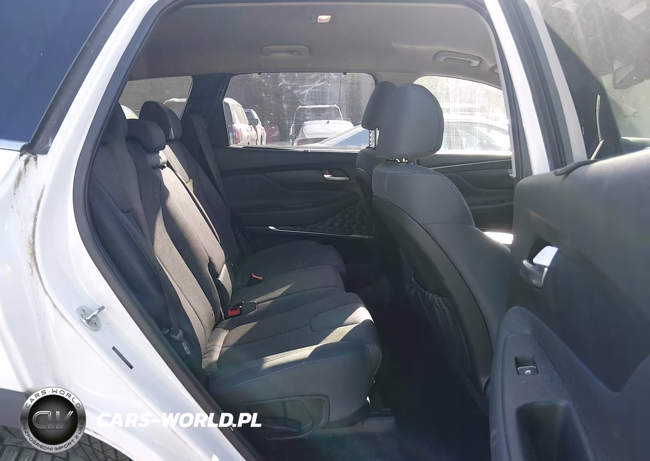 2019 Hyundai Santa Fe Sel Plus VIN:5NMS3CAD5KH037454 - 8