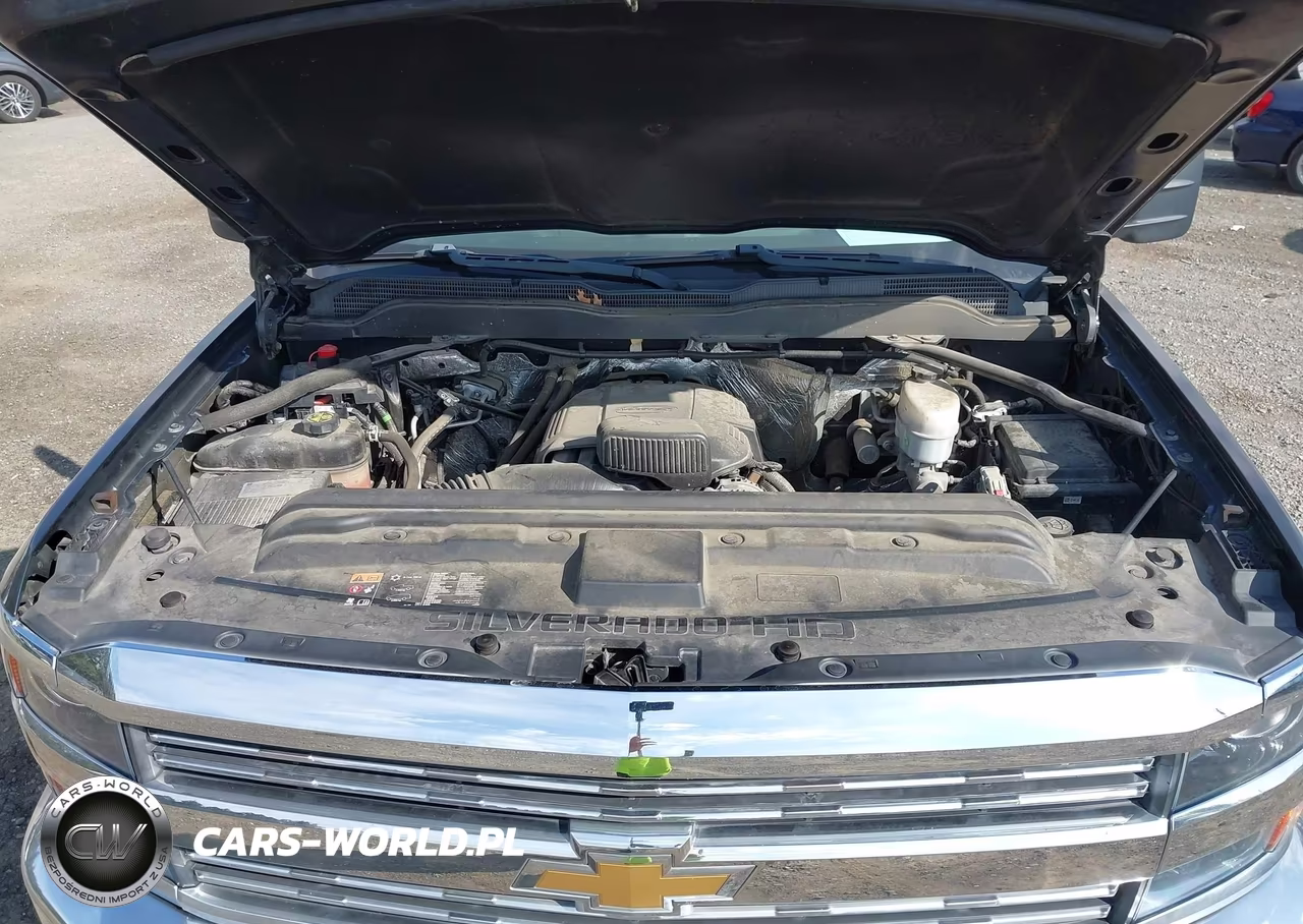 2018 Chevrolet Silverado 3500Hd Wt VIN:1GC4KYCG7JF271039 - 10