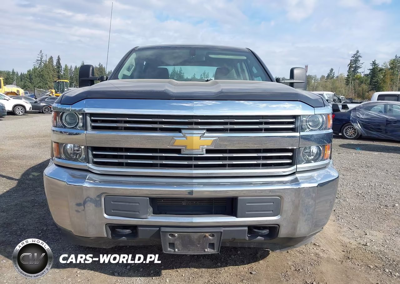 2018 Chevrolet Silverado 3500Hd Wt VIN:1GC4KYCG7JF271039 - 12