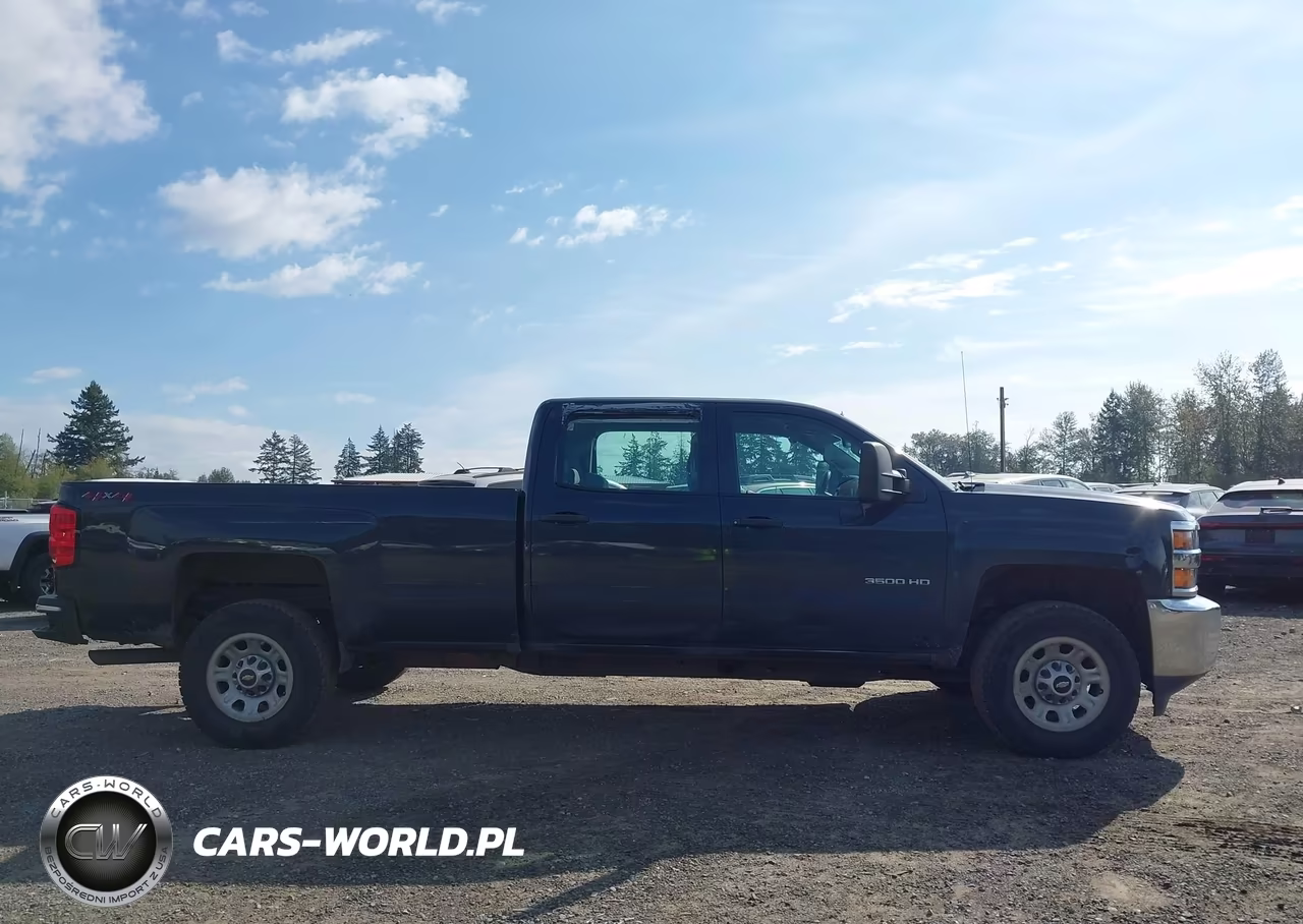 2018 Chevrolet Silverado 3500Hd Wt VIN:1GC4KYCG7JF271039 - 13