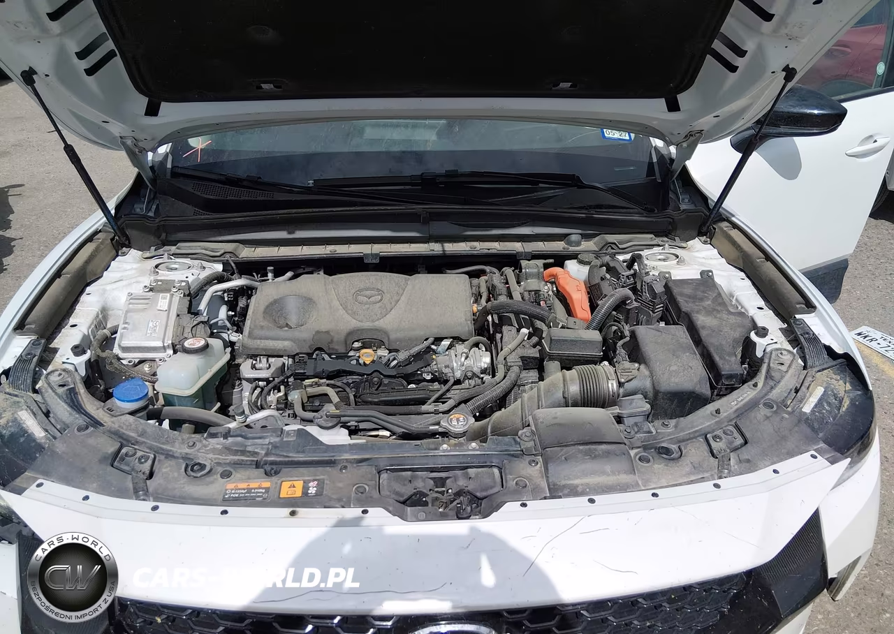 2025 Mazda Cx-50 Hybrid Premium Plus Package VIN:7MMVAAEW2SN130275 - 10