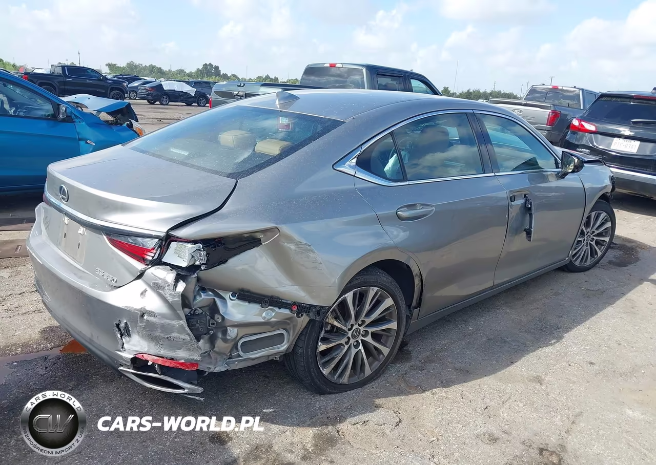 2020 Lexus Es 350 Luxury VIN:58AEZ1B19LU057614 - 4
