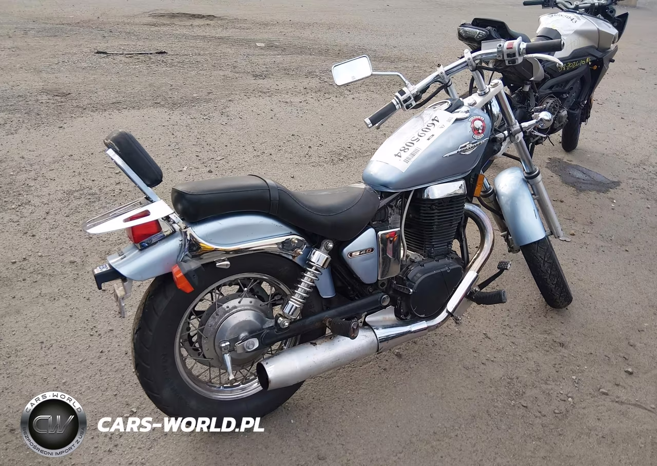 2006 Suzuki Ls650 P VIN:JS1NP41A762100412 - 11