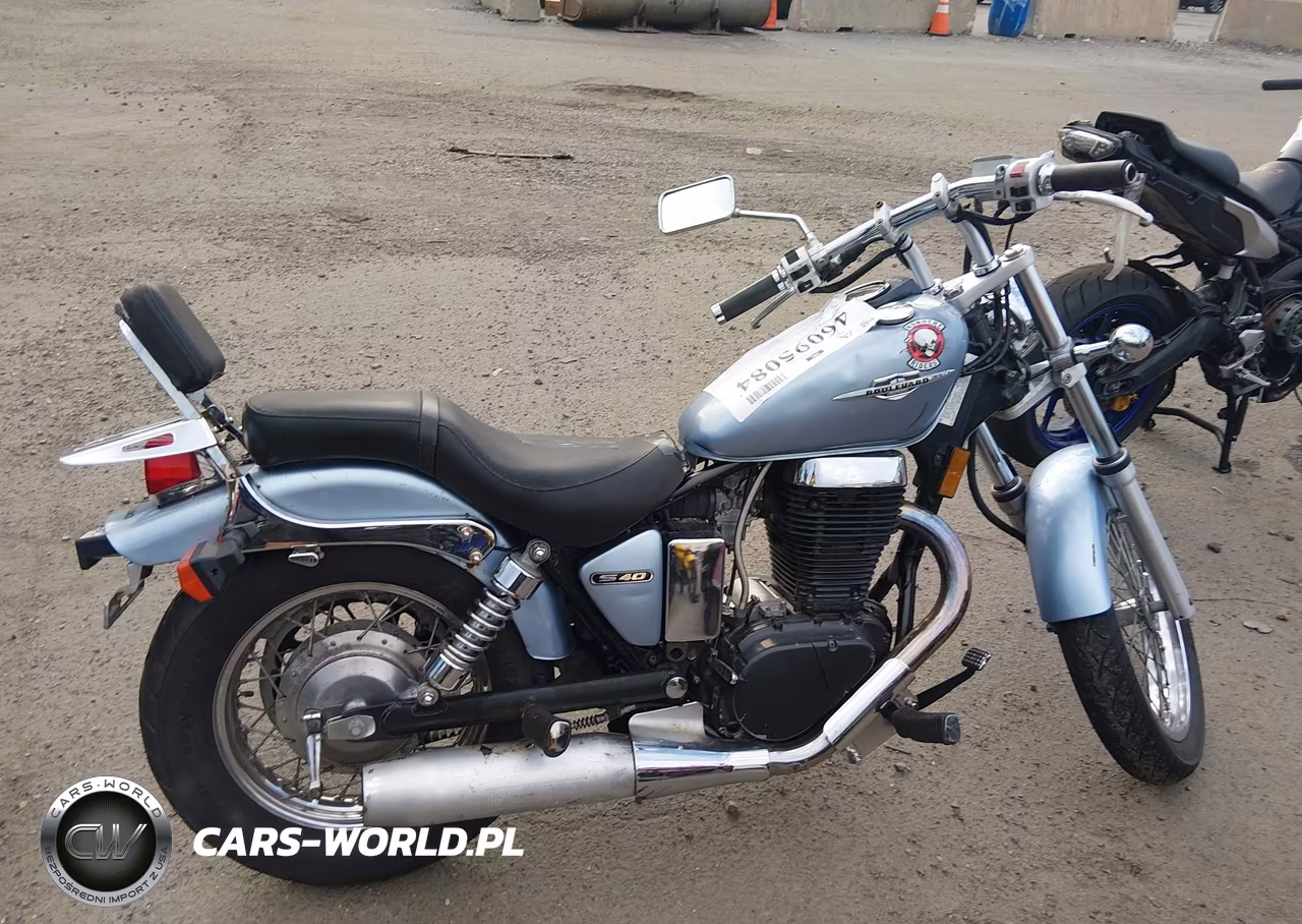 2006 Suzuki Ls650 P VIN:JS1NP41A762100412 - 8