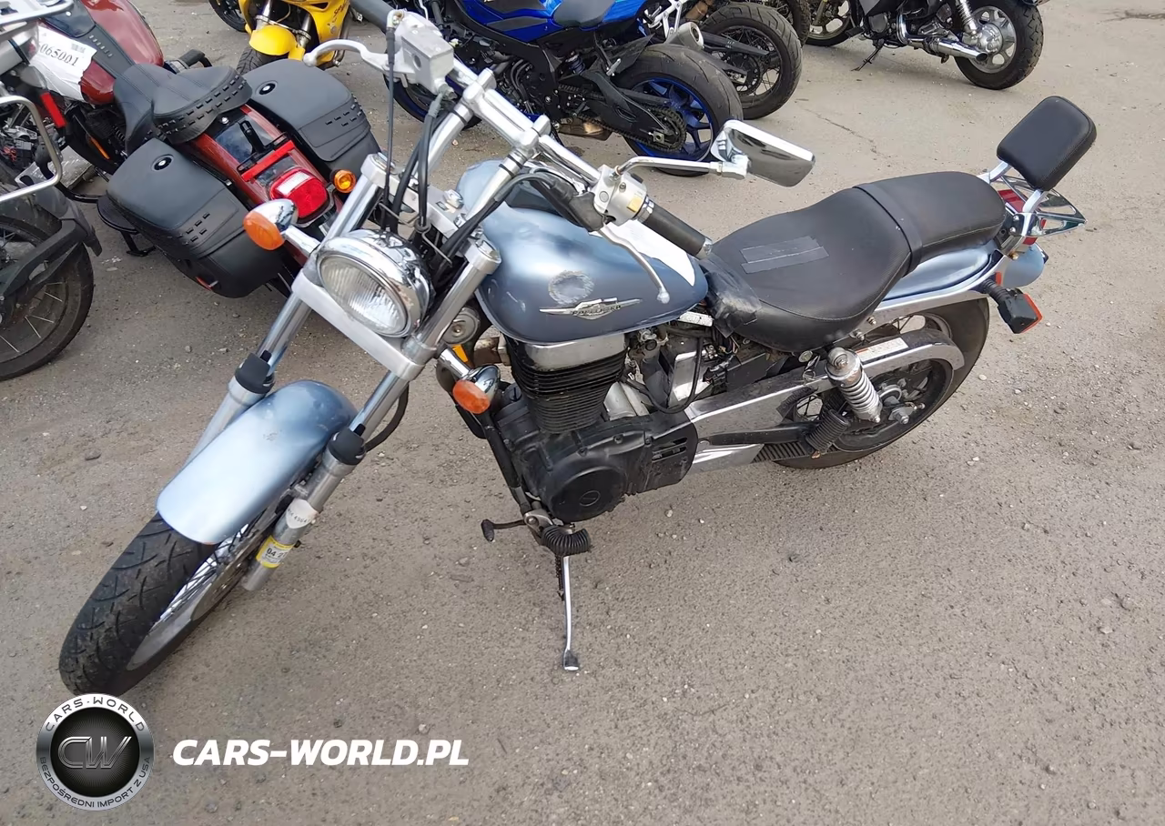 2006 Suzuki Ls650 P VIN:JS1NP41A762100412 - 9